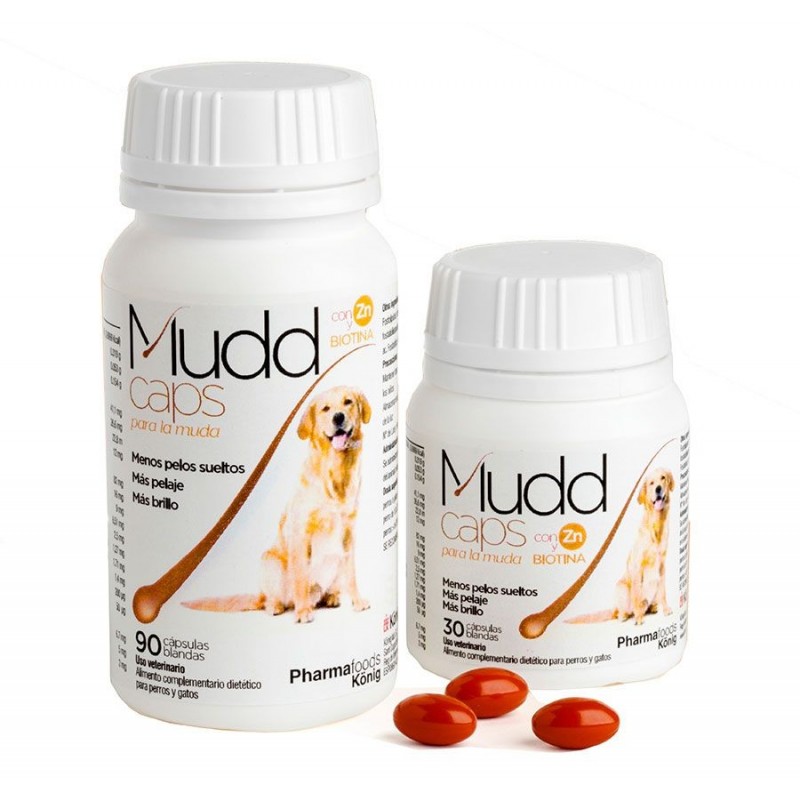 Complemento Mudd 30 capsulas König