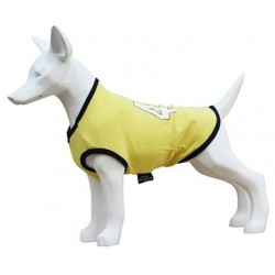 Camiseta Rossi 46 talla 30cm Freedog
