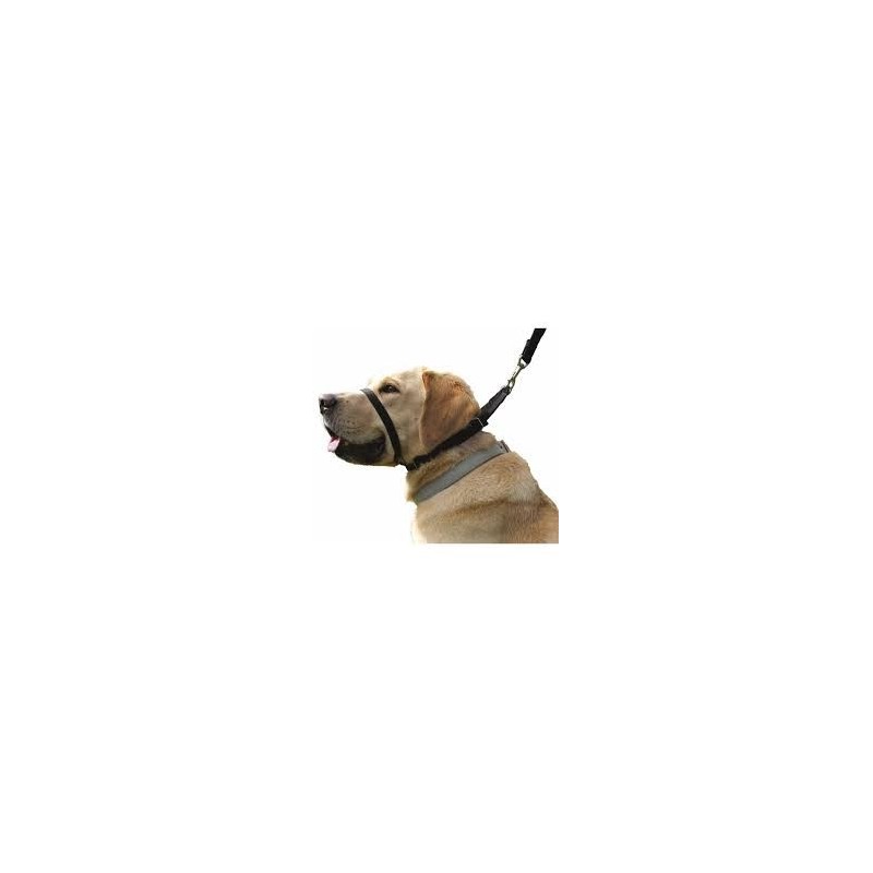 Collar Perro Canny Negro Talla 2 Collar Perro Canny Negro Talla 2
