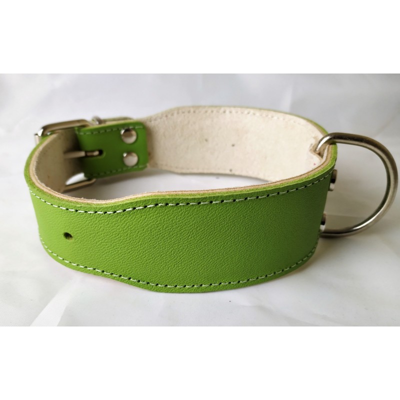 Collar Perro Bulldog Verde Talla 60