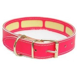 Collar Perro Porta Antiparasitario Fucsia Talla 35