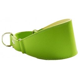 Collar Perro Galgo Martingale Verde Talla 40