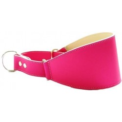 Collar Perro Galgo Martingale Fucsia Talla 40