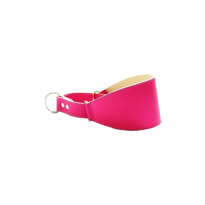 Collar Perro Galgo Martingale Fucsia Talla 40