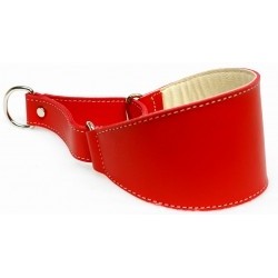 Collar Perro Galgo Martingale Rojo Talla 45