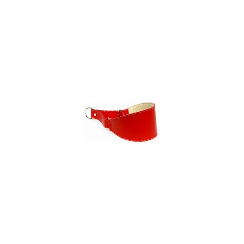 Collar Perro Galgo Martingale Rojo Talla 45