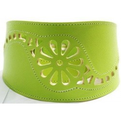 Collar Perro Galgo Martingale Filigrana Verde Talla 35