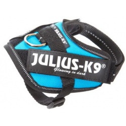 Arnés Perro Turquesa Baby 2 Julius K9 IDC
