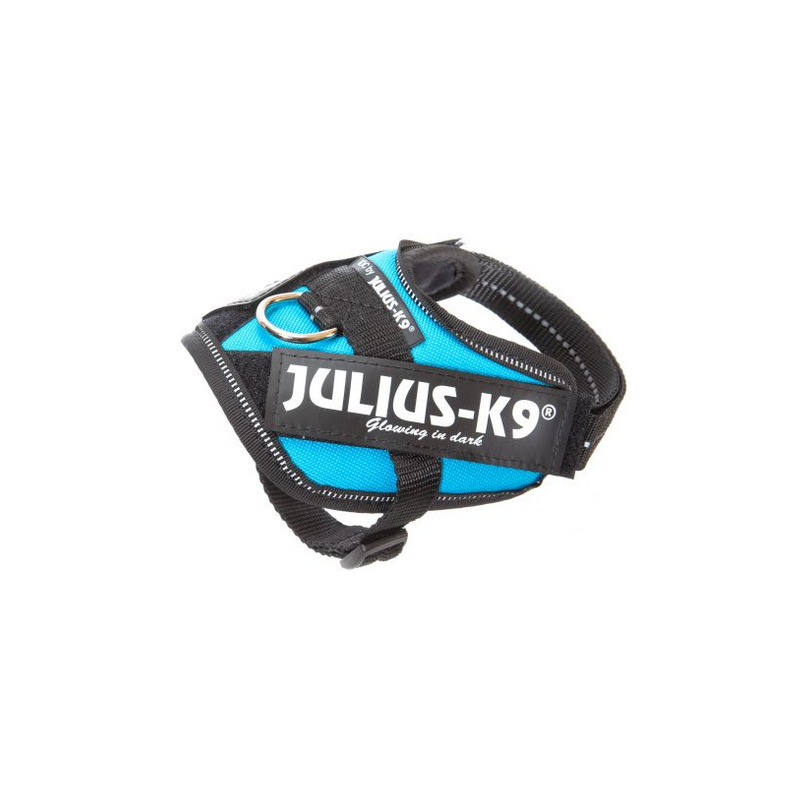 Arnés Perro Turquesa Baby 2 Julius K9 IDC