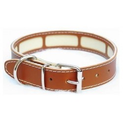 Collar Perro Porta Antiparasitario Marrón Talla 35