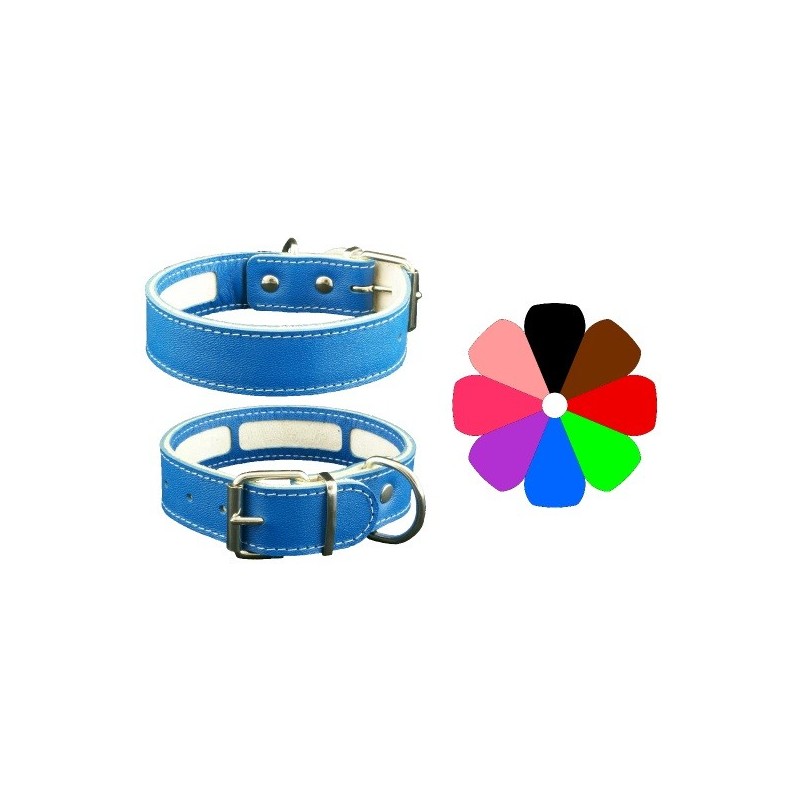 Collar Perro Porta Antiparasitario Dorado Talla 35