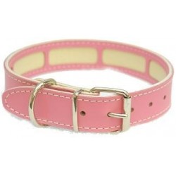 Collar Perro Porta Antiparasitario Rosa Talla 75