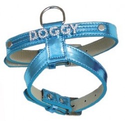 Arnés Brightdoggy AZUL 20mm Freedog