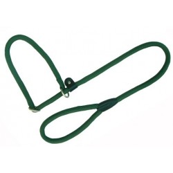 Collar-Tirador Nylon Round Verde 8x120cm Freedog