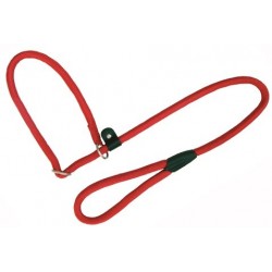 Collar-Tirador Nylon Round Rojo 10x120cm Freedog