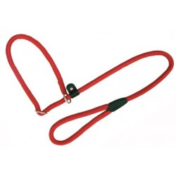 Collar-Tirador Nylon Round Rojo 13x120cm Freedog