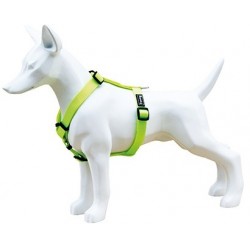 Arnés Nylon Neon Verde Fluor 20mm Freedog