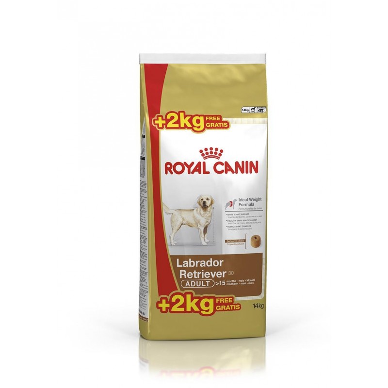 Royal Canin Pienso Perro Labrador Retriever Adulto 12+2kg