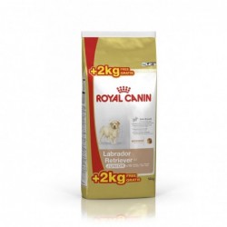 Royal Canin Pienso Perro Labrador Retriever Junior 12+2kg
