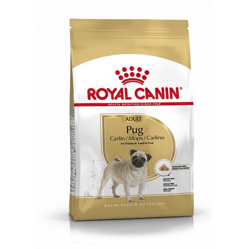 Royal Canin Pienso Perro Carlino Adulto 3kg