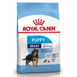Royal Canin Pienso Perro Maxi Junior 4kg