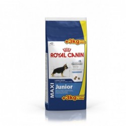 Royal Canin Pienso Perro Maxi Junior 15+3kg