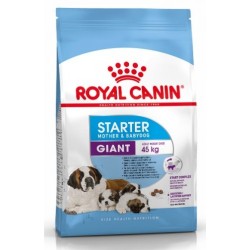 Royal Canin Pienso Perro Giant Starter 15kg