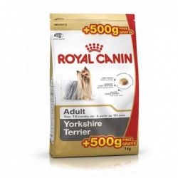 Royal Canin Pienso Perro Yorkshire Adulto 500+500gr