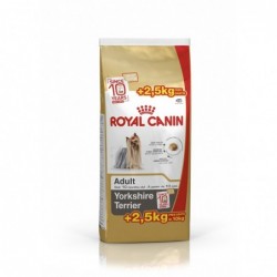 Royal Canin Pienso Perro Yorkshire Adulto 7