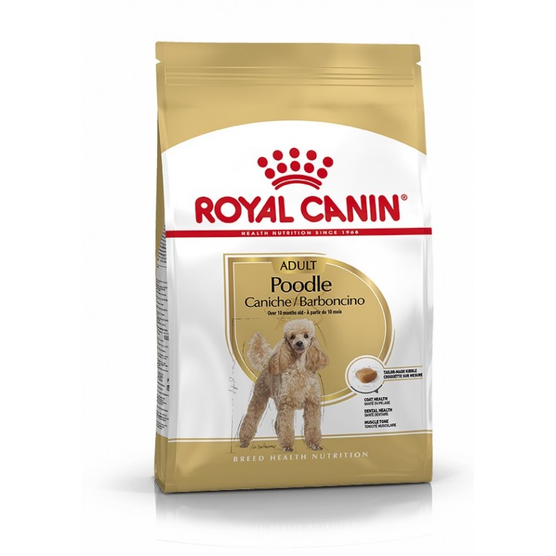 Royal Canin Pienso Perro Caniche Adulto 1