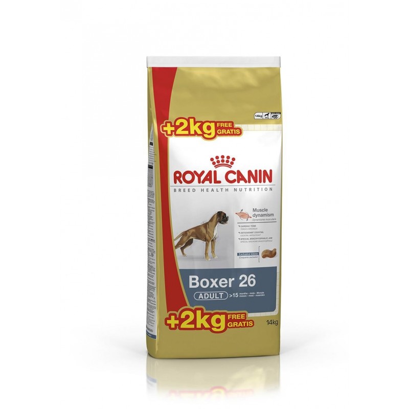 Royal Canin Pienso Perro Boxer Adulto 12+2kg