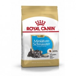 Royal Canin Pienso Perro Schnauzer Junior 1