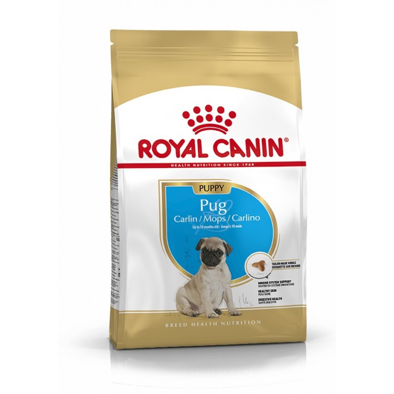 Royal Canin Pienso Perro Carlino Junior 1