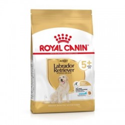 Royal Canin Pienso Perro Labrador Retriever +5 años - 12Kg