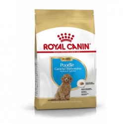 Royal Canin Pienso Perro Puppy Caniche. 3 Kg