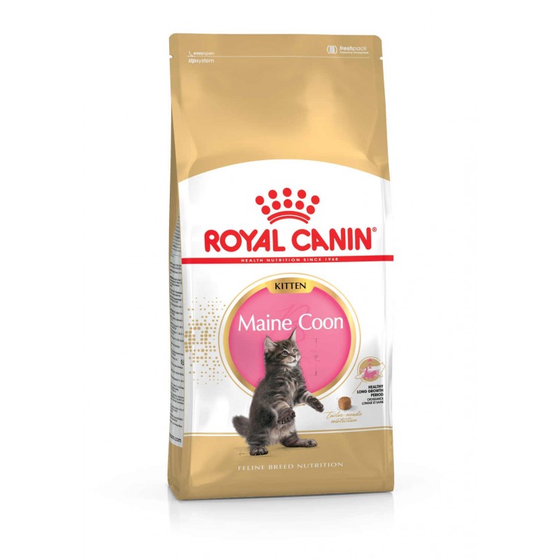 Royal Canin Pienso Gato Kitten Maine Coon 10kg