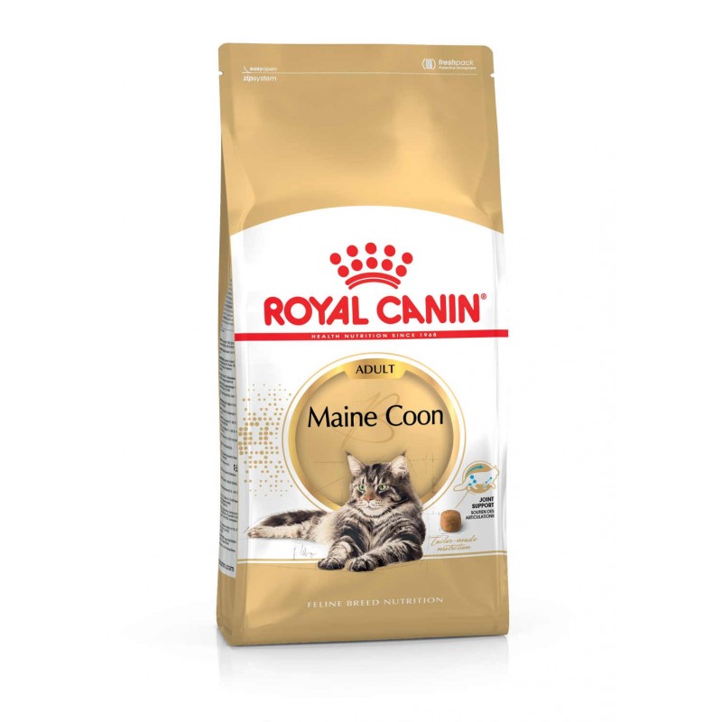 Royal Canin Pienso Gato Maine Coon 4kg