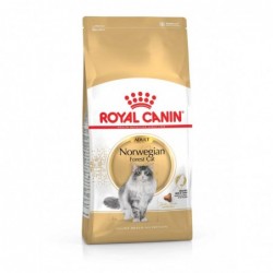 Royal Canin Pienso Gato Bosque de Noruega 2kg