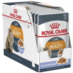 Royal Canin Pienso Húmedo Gato Intense Beauty en gelatina 1x85gr
