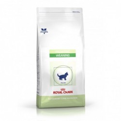 Royal Canin Pienso Gato Pediatric Weaning 400gr