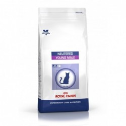 Royal Canin Pienso Gato Young Male 10kg