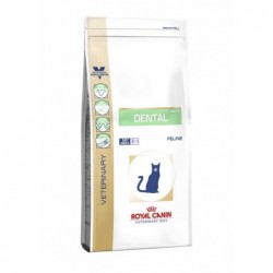 Royal Canin Pienso Gato Dental 1