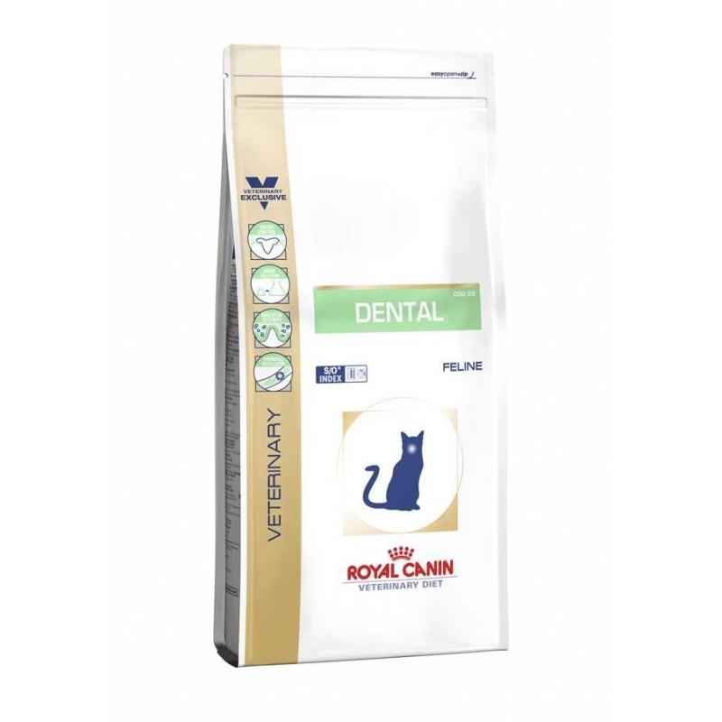 Royal Canin Pienso Gato Dental 1