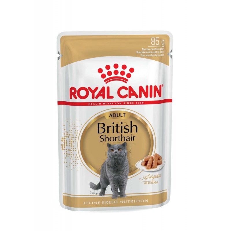 Royal Canin Pienso Húmedo Gato British Shorthair 1x85gr