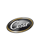 Cesar