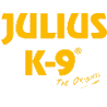 Julius